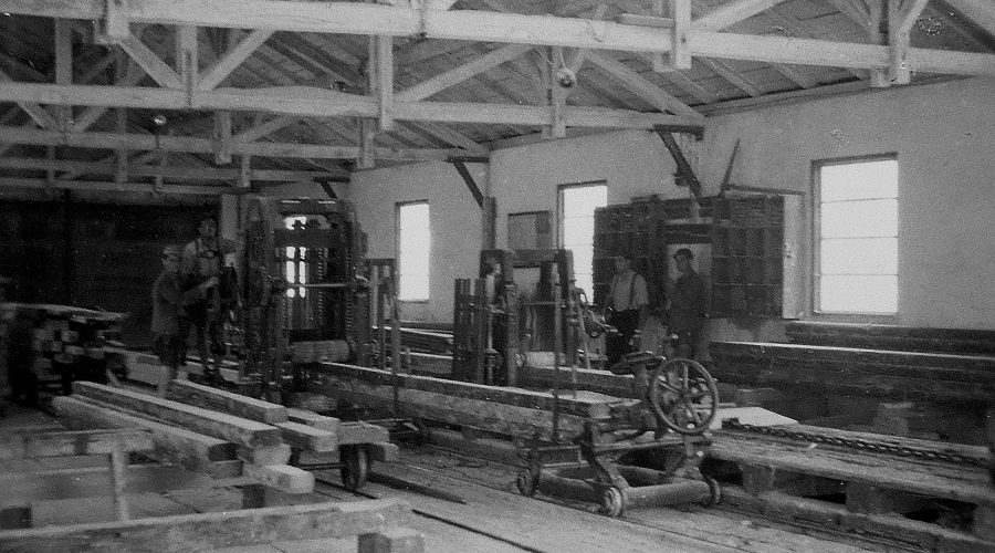 Breitsamter_DSCN4199_cmyk-1